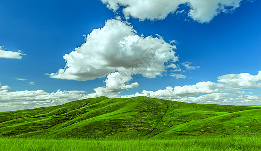 内蒙古大数据夏季内蒙古大草原景观背景