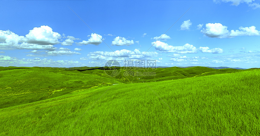 夏季内蒙古大草原景观图片