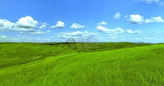 夏季内蒙古大草原景观图片