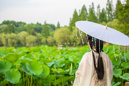 古风女子荷花池中古装女子背景