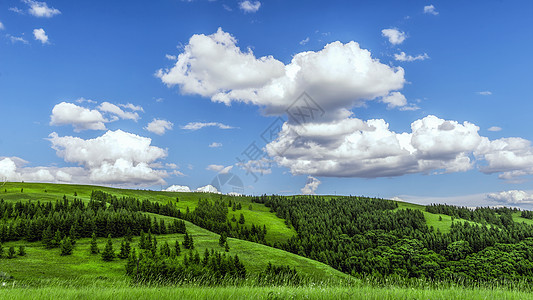 内蒙古大草原森林景观图片