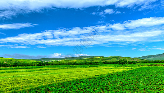 蓝天草原田园景色背景