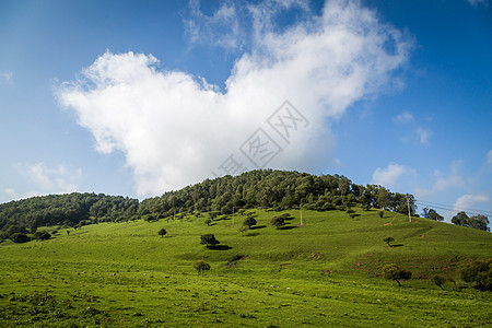 宝鸡关山牧场陕西关山草原背景