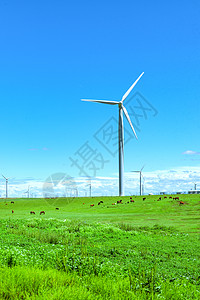 蓝天绿草内蒙古大草原夏季景观背景