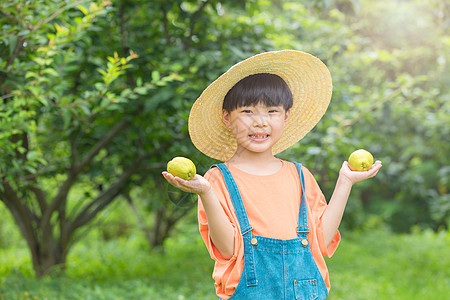 小男孩在户外手拿梨图片