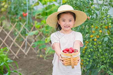 戴帽子的小女孩手捧一篮圣女果图片