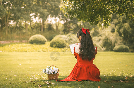 阳光下的公园夏天清晨阳光下阅读的唯美文艺女孩背景