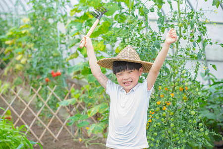 小男孩拿着耙子站在果树前面高清图片