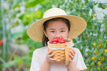 戴帽子小女孩手捧一篮小西红柿图片