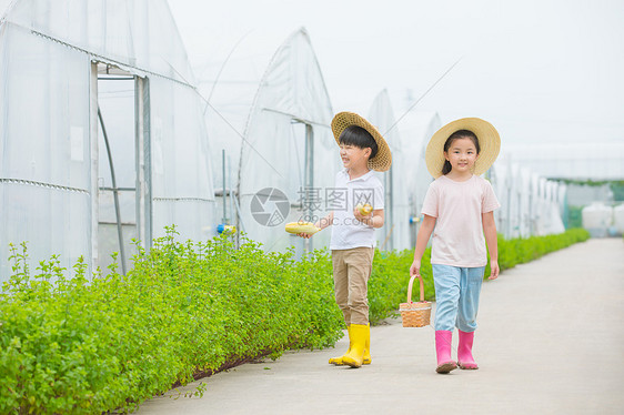 男孩和女孩在农村田间小路玩耍图片