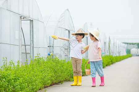 蔬菜大棚男孩和女孩在农村田间小路玩耍背景