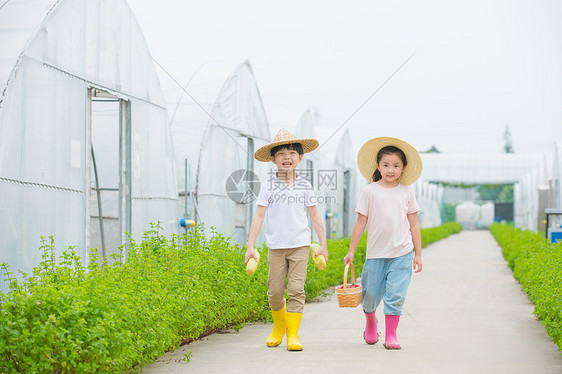 男孩和女孩在农村田间小路玩耍图片