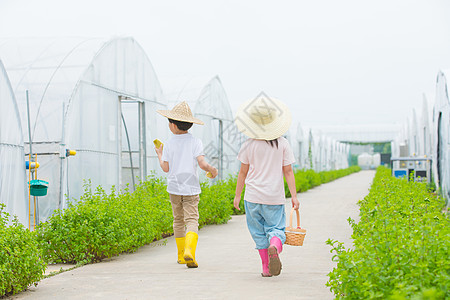 男孩和女孩在农村田间小路玩耍背影高清图片