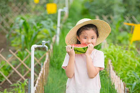女孩在农场吃西瓜背景