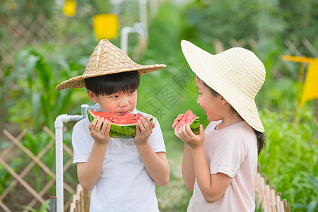 男孩和女孩在农场吃西瓜高清图片