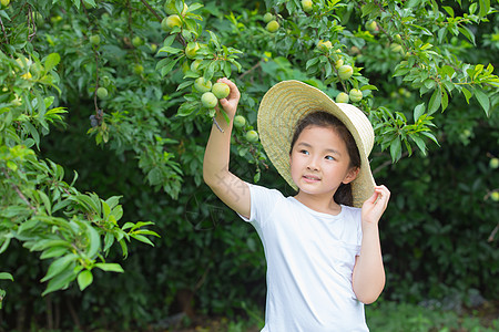 果子和女孩小女孩在果园摘果子背景