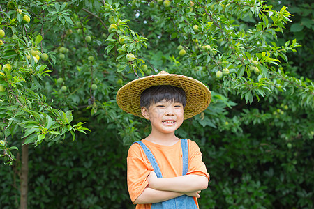 壮志在我胸小男孩在果园抱胸大笑背景