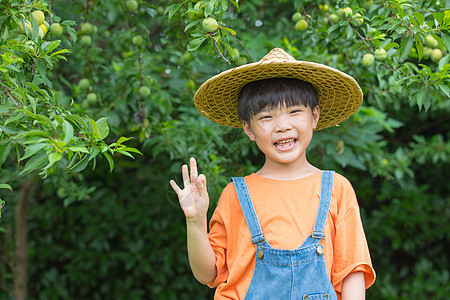 果树前面快乐小男孩形象图片