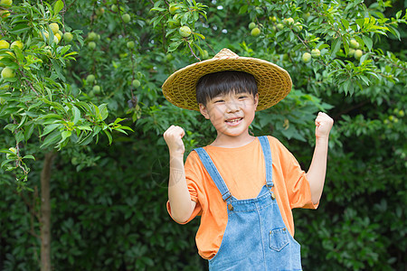 果树前面快乐小男孩形象图片