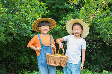男孩女孩在农场摘满满一篮水果图片