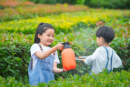 小男孩小女孩在植物从间照料植物背景图片