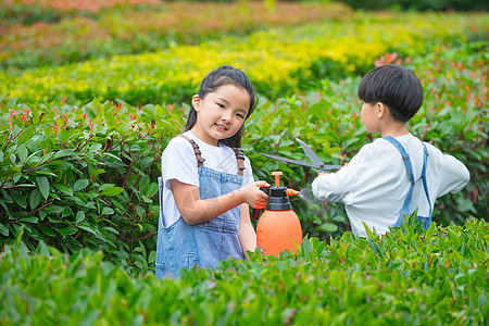 小男孩小女孩在植物从间照料植物图片