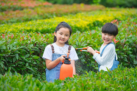 小男孩小女孩在植物从间照料植物图片