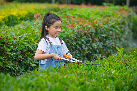 小女孩拿着大剪刀给植物修剪枝叶图片