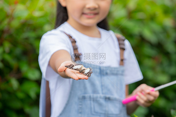 小女孩手捧蝴蝶特写图片