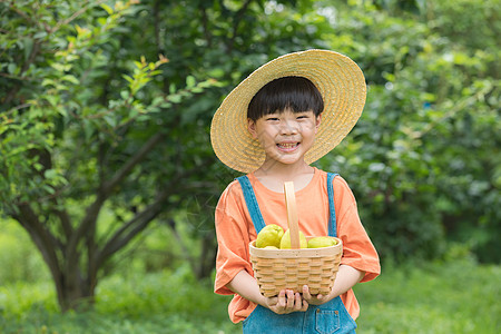 戴草帽的小男孩捧着一筐梨站在树下图片