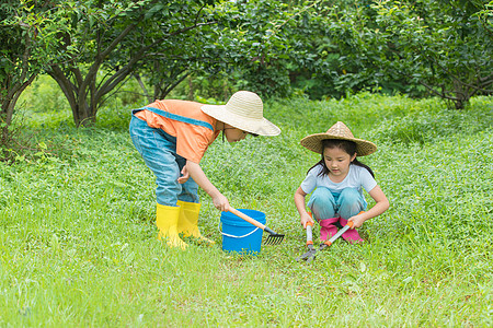 男孩女孩开心在草地中种树高清图片