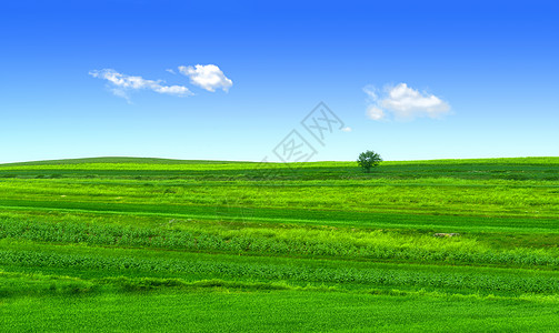 内蒙古察右中旗黄花沟旅游区草原景观高清图片