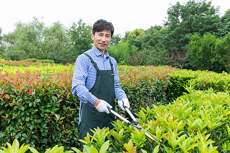 农夫工人修剪农场植物枝叶图片