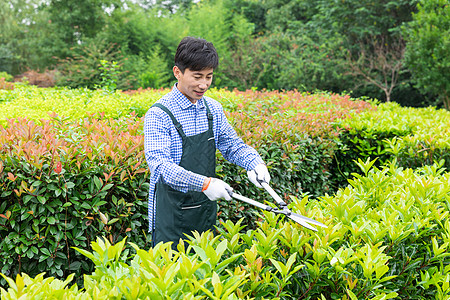 农夫工人修剪农场植物枝叶图片