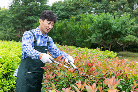 农夫工人修剪农场植物枝叶图片