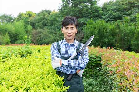 园丁工人修剪农场植物枝叶图片