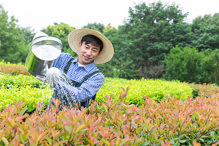 农场园丁提水桶为植物浇水图片