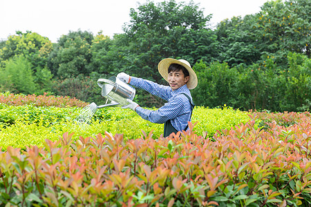 农场园丁提水桶为植物浇水图片