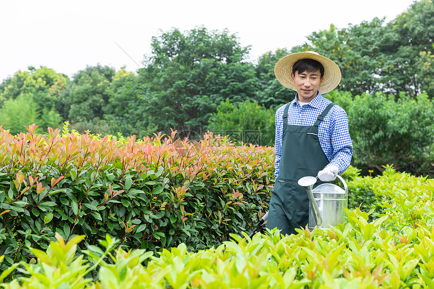 农场园丁工人修剪植物图片