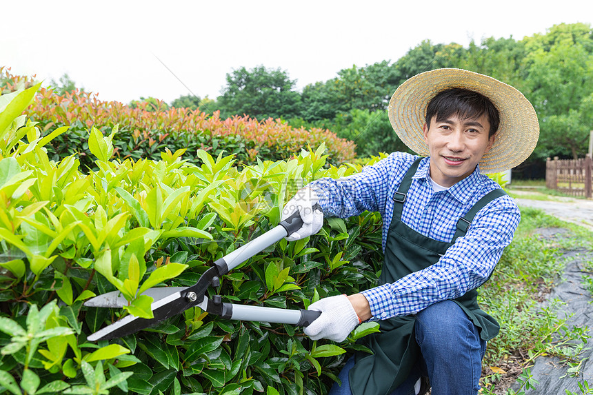 农场园丁修剪园艺植物图片