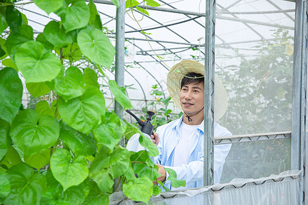 农夫给蔬菜大棚植物喷农药图片