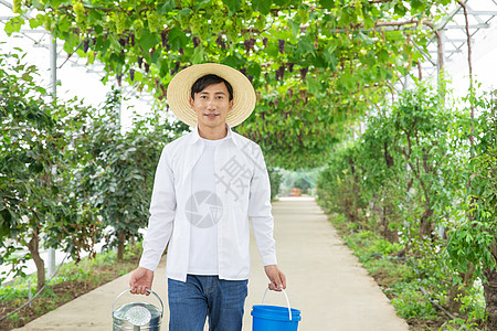 水果种植园里的果农手拎水桶图片