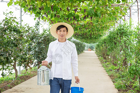 水果种植园里的果农手拎水桶图片