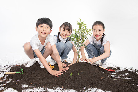 儿童一起植树背景图片