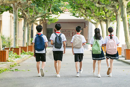 走在校园林荫小道的同学们背影图片