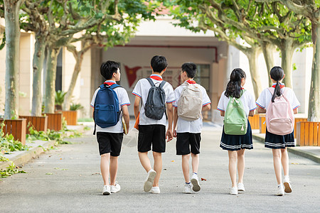 走在校园林荫小道的同学们背影图片