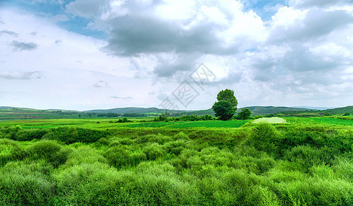 内蒙古四子王旗草原夏季景观图片