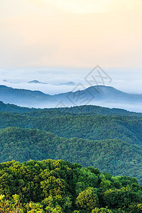 树林鸟瞰陕西旬邑石门山森林公园云雾背景