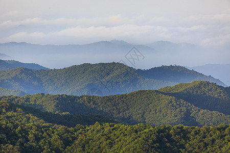 鸟瞰树林陕西旬邑石门山森林公园云雾背景