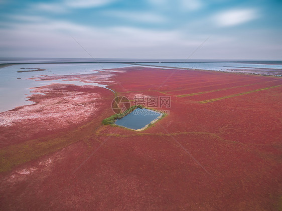 黄海湿地秋色图片